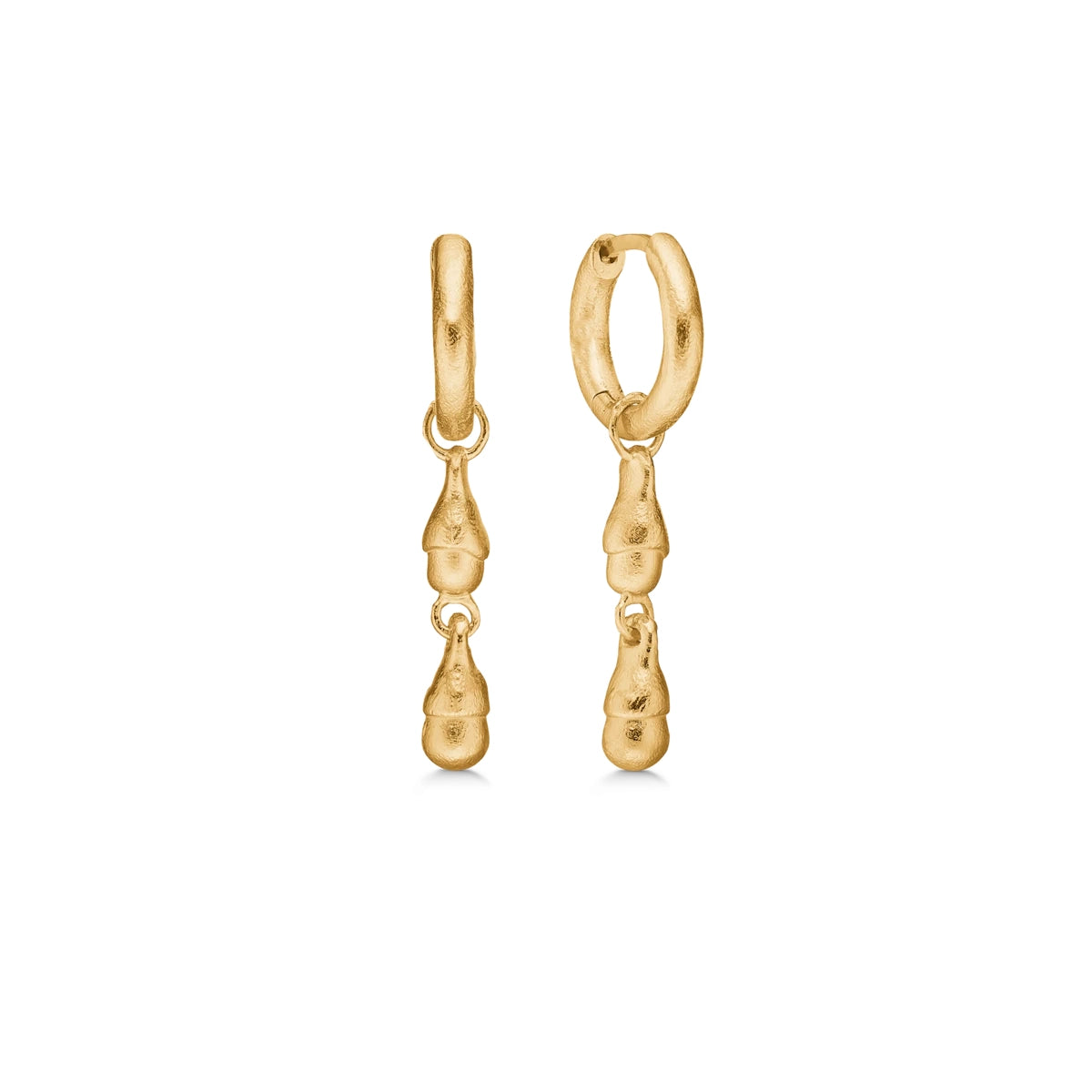 Acorn, forg creol – Hoop Earrings fra Studio.Z | Dirks Jewellery