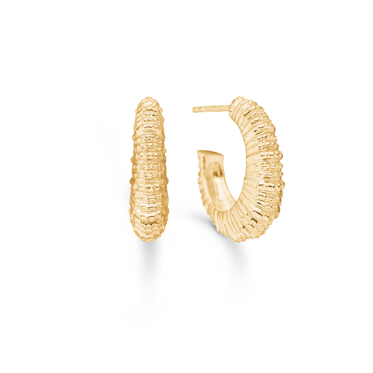 Seashell Secrets Øreringe Forgyldt Sølv 20mm