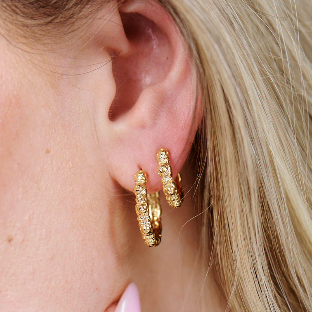 Urchin Elegance Øreringe Forgyldt Sølv